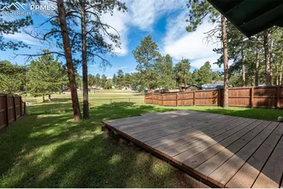 509 Dallas Alley, Woodland Park, CO 80863 - Photo 19