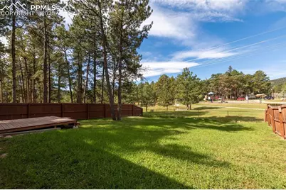 509 Dallas Alley, Woodland Park, CO 80863 - Photo 21