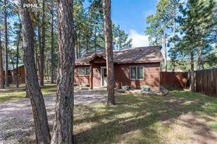 509 Dallas Alley, Woodland Park, CO 80863 - Photo 27