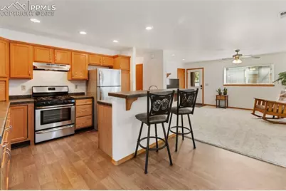 509 Dallas Alley, Woodland Park, CO 80863 - Photo 7