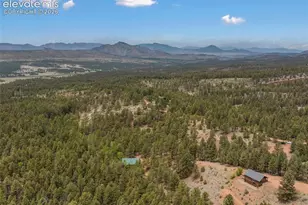 918 Douglas Fir Dr, Woodland Park, CO 80863 - Photo 49
