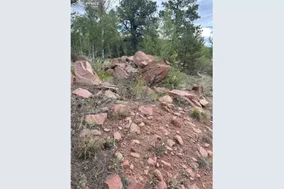 155 County Road 403, Florissant, CO 80816 - Photo 9