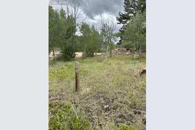 155 County Road 403, Florissant, CO 80816 - Photo 5