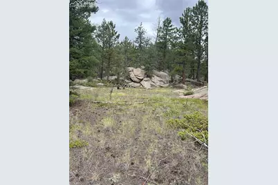 155 County Road 403, Florissant, CO 80816 - Photo 3