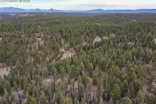 1275 Blossom Rd, Woodland Park, CO 80863 - Photo 41