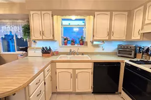 7231 S Webster St, Littleton, CO 80128 - Photo 21