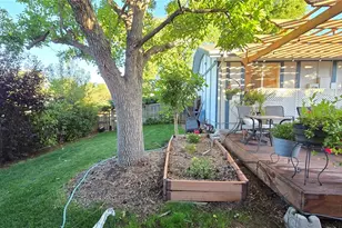 7231 S Webster St, Littleton, CO 80128 - Photo 39