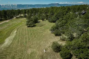 331 Grandwood Dr, Monument, CO 80132 - Photo 31