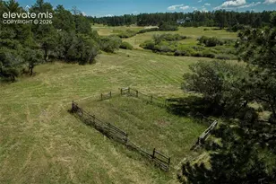 331 Grandwood Dr, Monument, CO 80132 - Photo 25