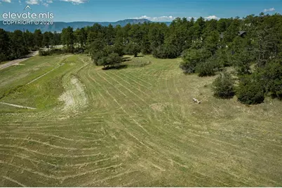 331 Grandwood Drive, Monument, CO 80136 - Photo 31