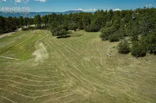 331 Grandwood Dr, Monument, CO 80136 - Photo 31