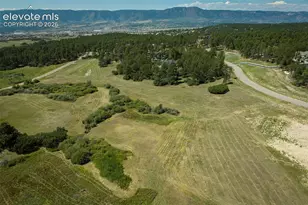331 Grandwood Dr, Monument, CO 80136 - Photo 29