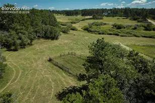 331 Grandwood Dr, Monument, CO 80132 - Photo 27