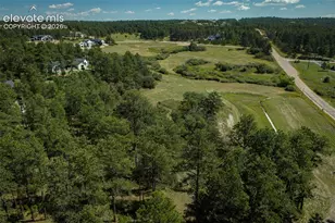 331 Grandwood Dr, Monument, CO 80136 - Photo 27