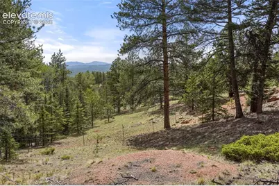 247 Pinewood Road, Florissant, CO 80816 - Photo 25