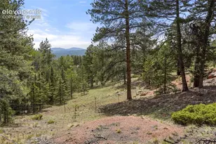 247 Pinewood Rd, Florissant, CO 80816 - Photo 25