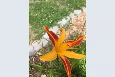 725 Lancers Court, Monument, CO 80132 - Photo 39