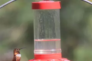 725 Lancers Ct, Monument, CO 80132 - Photo 41