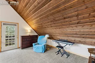 200 Sun Ridge Ct, Woodland Park, CO 80863 - Photo 29