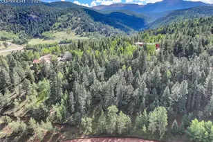 490 Willow Rd, Divide, CO 80814 - Photo 1