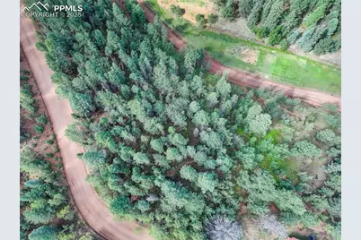 490 Willow Road, Divide, CO 80814 - Photo 3