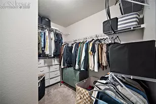 7343 Rosa Belle Hts, Colorado Springs, CO 80922 - Photo 17