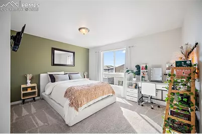 7343 Rosa Belle Heights, Colorado Springs, CO 80922 - Photo 19