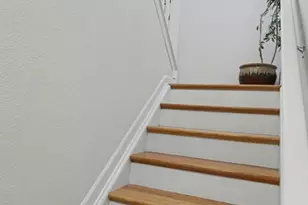 17063 Blue Mist Grove, Monument, CO 80132 - Photo 11