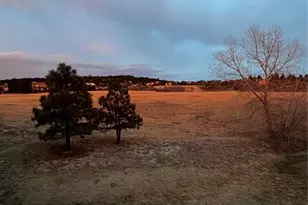 17063 Blue Mist Grove, Monument, CO 80132 - Photo 35