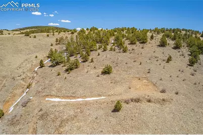 1538 County Road 1, Cripple Creek, CO 80813 - Photo 3