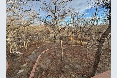 690 Meadow Lane, Palmer Lake, CO 80133 - Photo 23