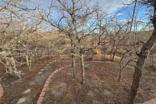 690 Meadow Ln, Palmer Lake, CO 80133 - Photo 23