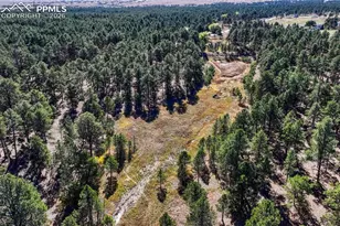 13354 N Meridian Rd, Elbert, CO 80106 - Photo 9