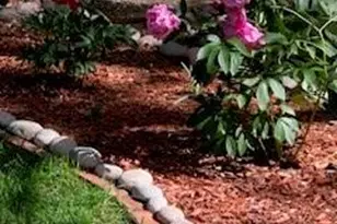 435 W Woodmen Rd, Colorado Springs, CO 80919 - Photo 49