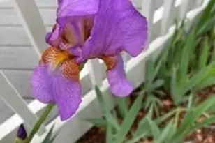 435 W Woodmen Rd, Colorado Springs, CO 80919 - Photo 45