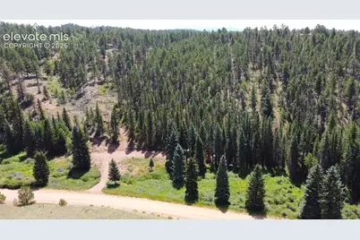 1570 Pathfinder Road, Florissant, CO 80816 - Photo 3