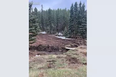 1570 Pathfinder Road, Florissant, CO 80816 - Photo 5