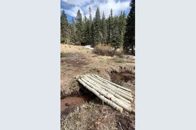 1570 Pathfinder Road, Florissant, CO 80816 - Photo 7