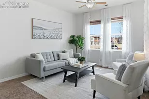 144 Millstream Terrace, Colorado Springs, CO 80905 - Photo 11