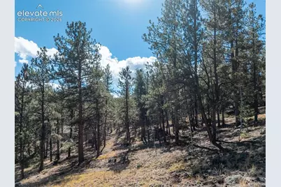 457 Stonehenge Drive, Florissant, CO 80816 - Photo 37