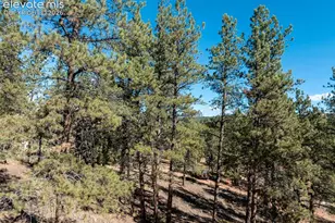 457 Stonehenge Dr, Florissant, CO 80816 - Photo 39