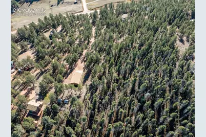 457 Stonehenge Drive, Florissant, CO 80816 - Photo 41