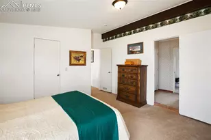 463 Snowshoe Ln, Lake George, CO 80827 - Photo 23