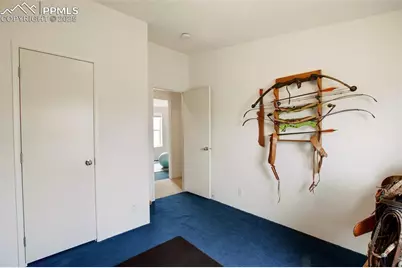 463 Snowshoe Lane, Lake George, CO 80827 - Photo 39