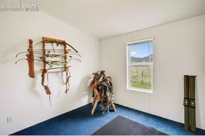 463 Snowshoe Lane, Lake George, CO 80827 - Photo 37