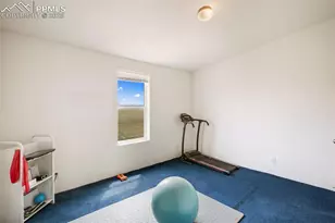 463 Snowshoe Ln, Lake George, CO 80827 - Photo 31