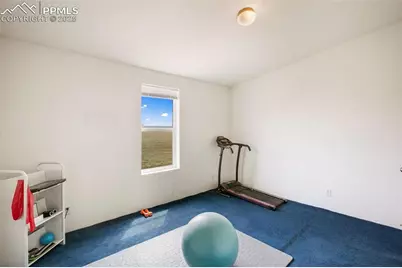 463 Snowshoe Lane, Lake George, CO 80827 - Photo 31