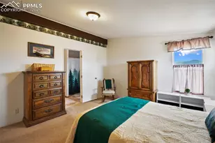 463 Snowshoe Ln, Lake George, CO 80827 - Photo 25