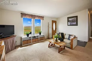 463 Snowshoe Ln, Lake George, CO 80827 - Photo 11