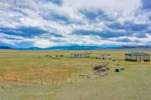 463 Snowshoe Ln, Lake George, CO 80827 - Photo 5